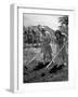 College Students Hoeing Small Plot in University of Hawaii Agriculture and Home Gardening School-Eliot Elisofon-Framed Photographic Print