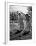 College Students Hoeing Small Plot in University of Hawaii Agriculture and Home Gardening School-Eliot Elisofon-Framed Photographic Print