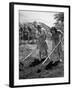 College Students Hoeing Small Plot in University of Hawaii Agriculture and Home Gardening School-Eliot Elisofon-Framed Photographic Print