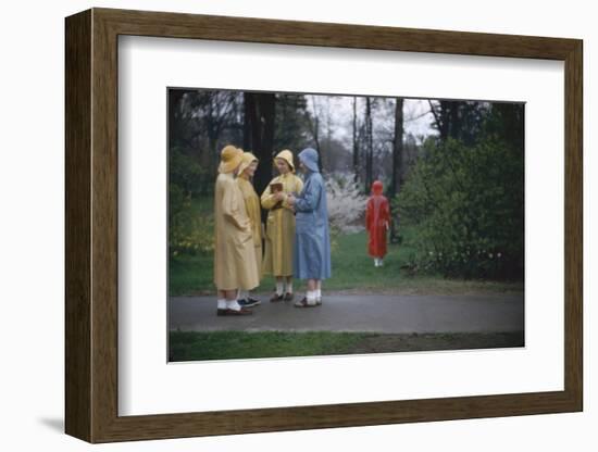 College Women During a Rain Storm at Michigan State University, Lansing Michigan 1954-Nina Leen-Framed Photographic Print