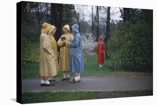 College Women During a Rain Storm at Michigan State University, Lansing Michigan 1954-Nina Leen-Stretched Canvas