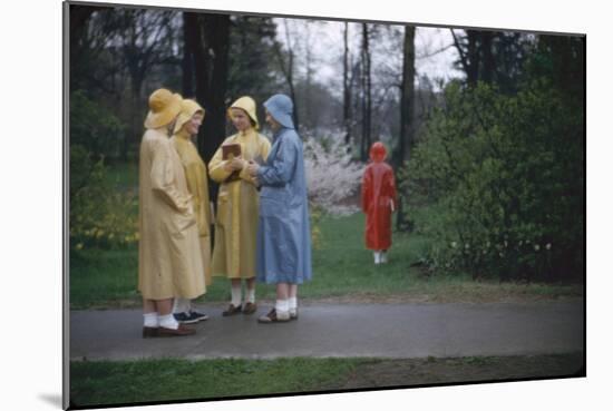 College Women During a Rain Storm at Michigan State University, Lansing Michigan 1954-Nina Leen-Mounted Photographic Print