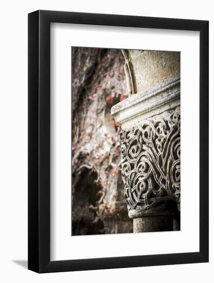 Collegiate Church of Santa Juliana in Santillana Del Mar, Cantabria, Spain-Carlos Sanchez Pereyra-Framed Photographic Print