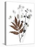 Ethereal Floral IV-Collezione Botanica-Giclee Print