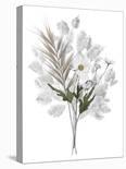 Forest Finds - Whimsical-Collezione Botanica-Stretched Canvas