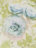 Ethereal Floral II-Collezione Botanica-Giclee Print