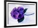 Gramercy Black