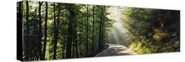 Stretched Canvas