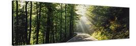 Stretched Canvas