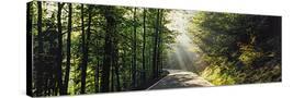 Stretched Canvas