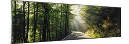 Wood Mount
