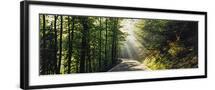 Chelsea Black
