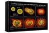 Colliding Neutron Stars Create Black Hole and Gamma-ray Burst-Science Source-Framed Stretched Canvas