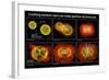 Colliding Neutron Stars Create Black Hole and Gamma-ray Burst-Science Source-Framed Giclee Print