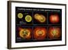 Colliding Neutron Stars Create Black Hole and Gamma-ray Burst-Science Source-Framed Premium Giclee Print