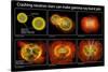 Colliding Neutron Stars Create Black Hole and Gamma-ray Burst-Science Source-Stretched Canvas