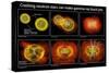 Colliding Neutron Stars Create Black Hole and Gamma-ray Burst-Science Source-Stretched Canvas