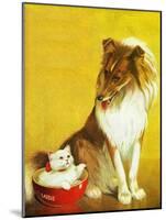 Collie and Kitten - Child Life-Jack Murray-Mounted Giclee Print