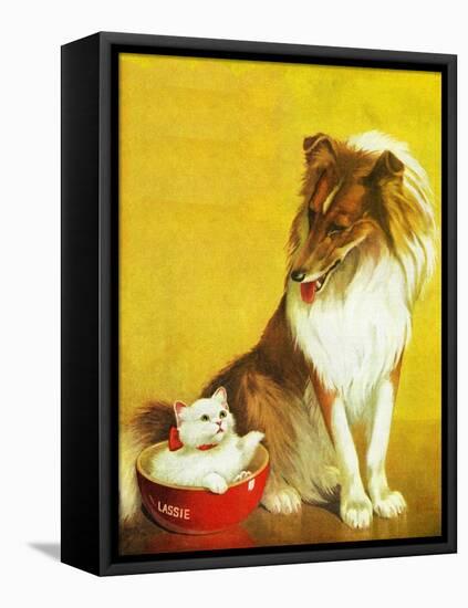 Collie and Kitten - Child Life-Jack Murray-Framed Stretched Canvas