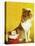 Collie and Kitten - Child Life-Jack Murray-Stretched Canvas