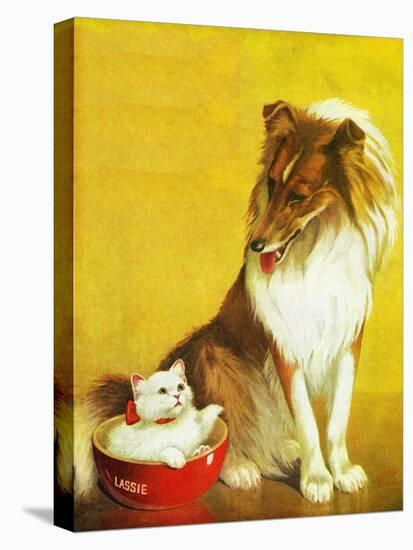 Collie and Kitten - Child Life-Jack Murray-Stretched Canvas