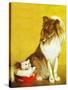 Collie and Kitten - Child Life-Jack Murray-Stretched Canvas