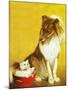 Collie and Kitten - Child Life-Jack Murray-Mounted Giclee Print