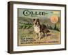 Collie Brand - San Dimas, California - Citrus Crate Label-Lantern Press-Framed Art Print