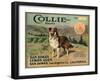 Collie Brand - San Dimas, California - Citrus Crate Label-Lantern Press-Framed Art Print