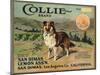 Collie Brand - San Dimas, California - Citrus Crate Label-Lantern Press-Mounted Art Print