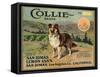 Collie Brand - San Dimas, California - Citrus Crate Label-Lantern Press-Framed Stretched Canvas