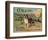 Collie Brand - San Dimas, California - Citrus Crate Label-Lantern Press-Framed Art Print