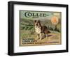 Collie Brand - San Dimas, California - Citrus Crate Label-Lantern Press-Framed Art Print