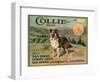 Collie Brand - San Dimas, California - Citrus Crate Label-Lantern Press-Framed Art Print