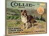 Collie Brand - San Dimas, California - Citrus Crate Label-Lantern Press-Mounted Art Print
