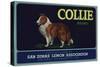 Collie Brand - San Dimas, California - Citrus Crate Label-Lantern Press-Stretched Canvas