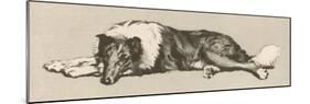 Collie Dog Relaxes-Cecil Aldin-Mounted Photographic Print