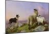 Collie, Ewe and Lambs-Richard Ansdell-Mounted Giclee Print