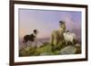 Collie, Ewe and Lambs-Richard Ansdell-Framed Giclee Print