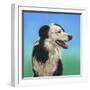 Collie Jud-Karie-Ann Cooper-Framed Giclee Print