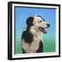 Collie Jud-Karie-Ann Cooper-Framed Giclee Print