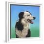 Collie Jud-Karie-Ann Cooper-Framed Giclee Print