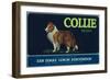 Collie Lemon Label - San Dimas, CA-Lantern Press-Framed Art Print