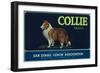 Collie Lemon Label - San Dimas, CA-Lantern Press-Framed Art Print