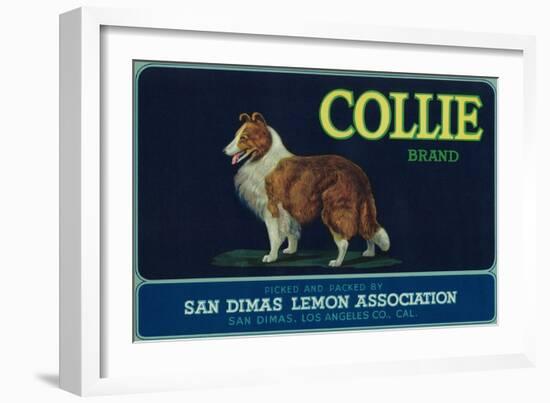 Collie Lemon Label - San Dimas, CA-Lantern Press-Framed Art Print