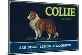 Collie Lemon Label - San Dimas, CA-Lantern Press-Mounted Art Print