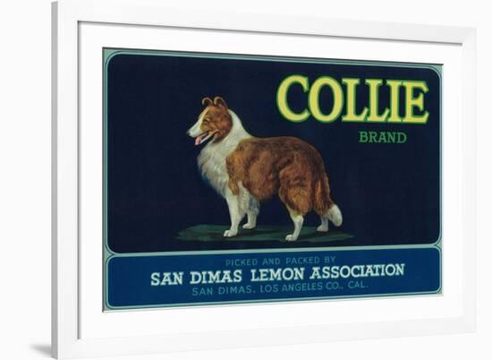 Collie Lemon Label - San Dimas, CA-Lantern Press-Framed Premium Giclee Print