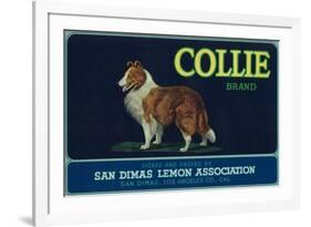 Collie Lemon Label - San Dimas, CA-Lantern Press-Framed Premium Giclee Print