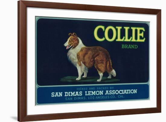 Collie Lemon Label - San Dimas, CA-Lantern Press-Framed Premium Giclee Print