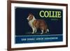 Collie Lemon Label - San Dimas, CA-Lantern Press-Framed Premium Giclee Print